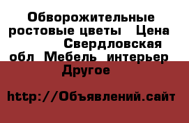 Обворожительные ростовые цветы › Цена ­ 1 500 - Свердловская обл. Мебель, интерьер » Другое   